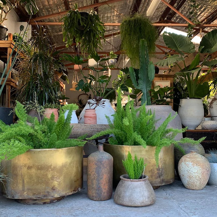metal planters in garden surrounded with plants