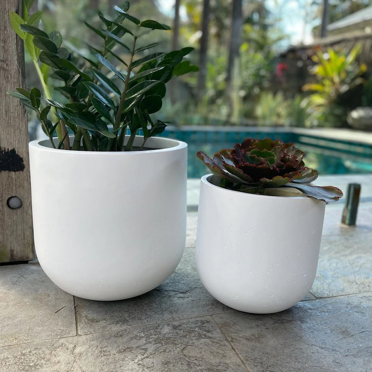 plants in white fibreglass plant pots