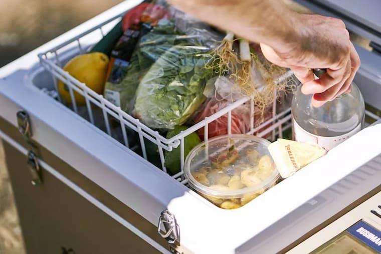 Portable camping fridge with fresh fruits and vegetables in it