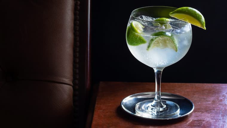 gin copa glass with garnishes