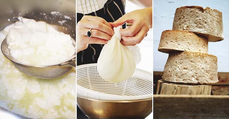 steps to making cheese at home