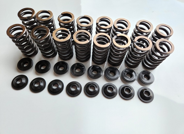 Valve springs photographed from above