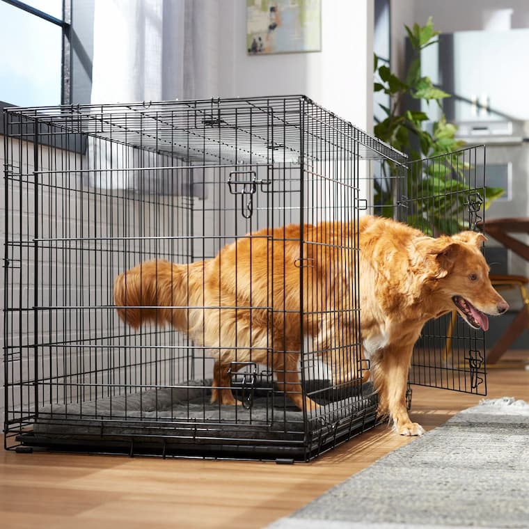 Collapsible dog cages