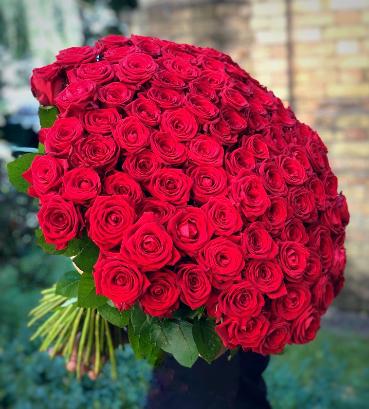 A bouquet of red roses
