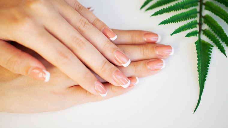 french manicure on women's nails