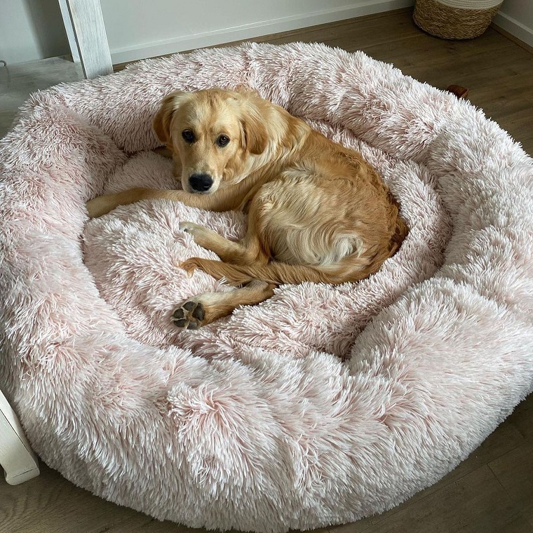 dog laying in calming dog bed