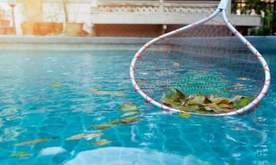 Cleaning and repairing the pool area