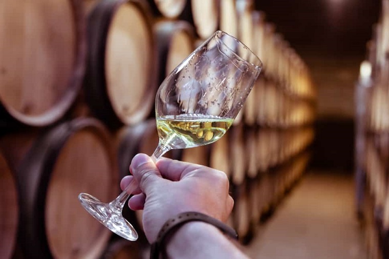 man holding a glass of white wine chardonnay in wine storage
