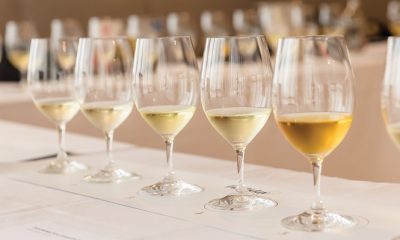 glasses with different varieties of Australian white wines