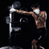 everlast puncing bag tree model