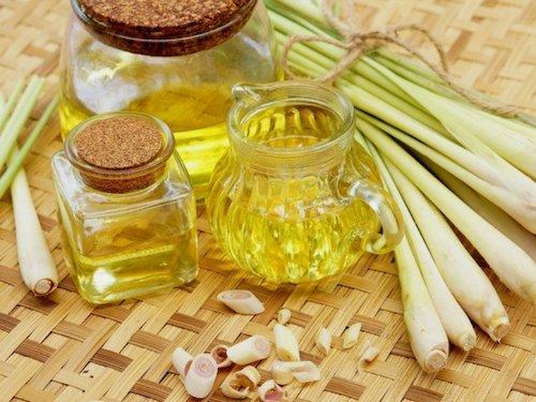 lemongrass-essential-oils