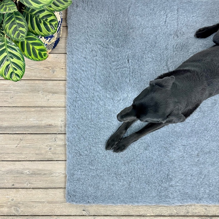 ProFleece 1200gsm Dry Vet Bed (Carpet backing) 
