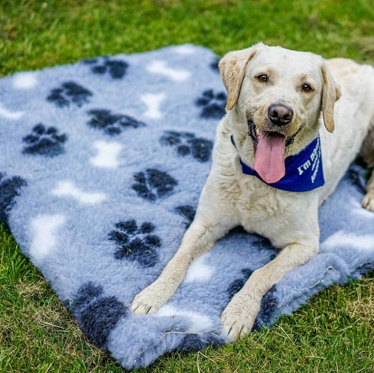 ProFleece 1200gsm Dry Vet Bed for VEBO Deluxe Outdoor Dog Kennel
